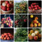 50 Pcs Litschi Samen, Garten Geschenke Für Frauen, Litchi Chinensis, Nachhaltige Geschenke Gewächshaus Balkon Exotische Pflanzen Winterhart Geschenke Für Gartenliebhaber Deko Wohnzimmer