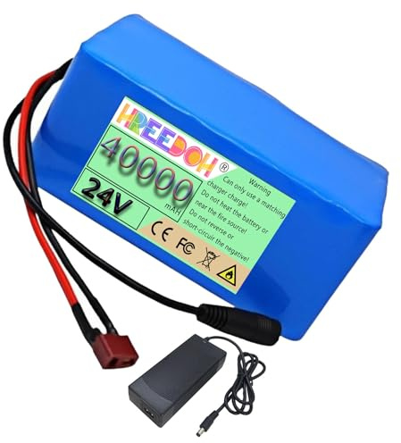 FREEDOH Pack de Batteries Lithium-ION Rechargeable 24 V 40 Ah avec Chargeur et BMS pour Moteur 0-1000 W