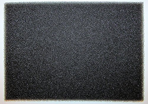 Filtre éponge Filtre Filtre Tapis 7358901 AEG lthwp Privilège 9750 WP lavert Herm 5980 (ancienne version)