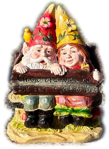 Darthome Gnome Couple Ornament 25cm Grow Old With Me Resin Garden Elf Pair Outdoor Sculpture