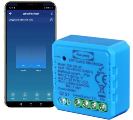 Interruttore WiFi, 2 Gang 2 Vie Smart Timer Switch Funziona in Parallelo con Interruttore a Parete Originale, Compatibile con Alexa Echo e Google Home, Ricevitore a Relè 2500W