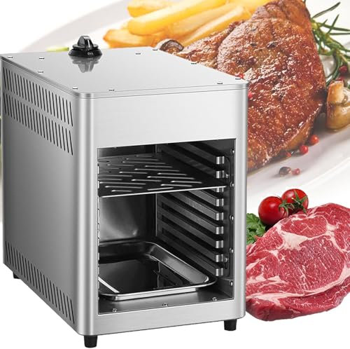 Barbecue à gaz à température réglable pour steak, légumes, pizza et pain, parfait pour la cuisine en plein air et l'utilisation à la maison