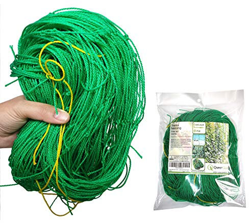 QueenBird Trellis Netting - Heavy Duty Garden Trellis Netting for Climbing Plants - 5.9 ft. X 16.4 ft. (1.8 mt X 5 mt) - Very Strong Support for Vegetables, Clematis, Cucumber,Tomatoes and Vine Plants