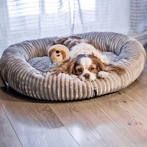 4L Textil Luna Kuscheliges Hundebett kleine Hunde Katzenbett flauschig Hundekörbchen kleine Hunde Hundekorb für Welpen Hundekissen Katzenkissen waschbar (55x50 cm, Graphit)