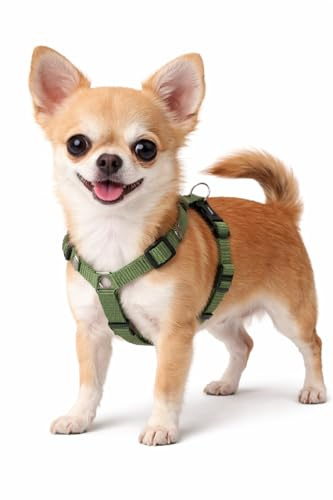 hundegeschirr - ziggi kaki H-Form - größe XS - 25-40 cm / 30-45 cm - 10 mm - Nylon hundegeschirr verstellbar