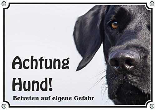 Hundeschild Labrador Retriever schwarz - uv-beständiges Metallschild Fotoschild, DIN A4