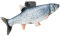 qizjio Ugly Phone Case for iPhone Xs MAX Cute 3D Plush Fish Simulation Grass Carp Phone Case