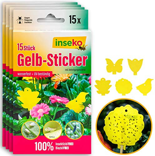 inseko 60 x Profi Gelbsticker Gelbtafeln Gelbfalle Fliegenfalle - umweltfreundlich/giftfrei (60)