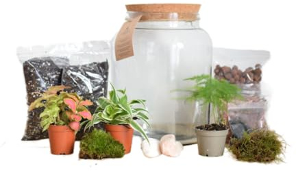 Complete Terrarium Kit with Plants and Moss DIY 5L Closed Terrarium Kit for Plant Lovers (5 Litre Terrarium)