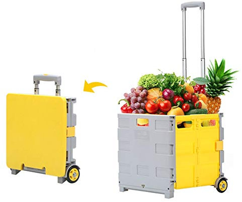ASN Einkaufskorb mit Rollen Kaufwagen Klappbox, Tragbarer 2-Rad-Haushaltswagen, Klappkiste Aus Kunststoff, Aufbewahrungsbox Für Autocamping, Tragend 40 Kg (Size : L)