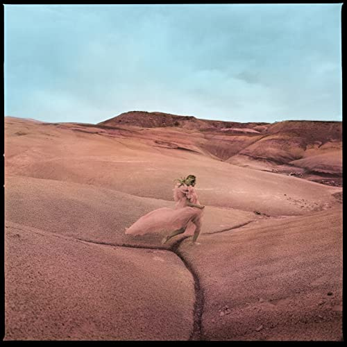 Strays [Shrimp Pink Vinyl]