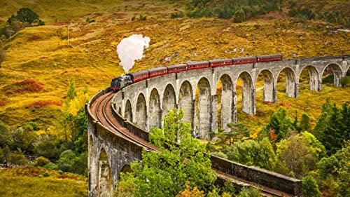 Adult Jigsaw Puzzles 1000 Pieces Steam Train Crossing The Glenfinnan Viaduct, Invernessshire, Scotland 75 * 50Cm