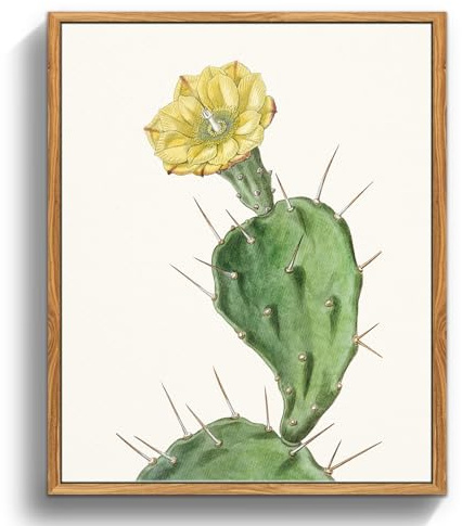 MHARTK66 Quadri Vintage Botanico Soggiorno con Cornice Legno, 20x25 cm Stampe da Parete Opuntia con Una Spina Piante da Fiore, Quadro Camera da Letto Su Tela Decorazioni Parete Desktop Arte Bagno