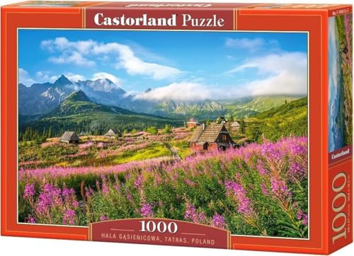 Castorland Jigsaw 1000 Pc - Hala Gasienicowa, Poland