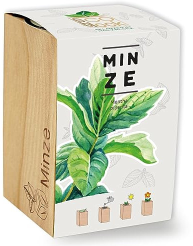 Feel Green ecoblock Minze, Nachhaltige Geschenkidee (100% Eco Friendly), Grow Your Own/Anzuchtset, Pflanzen im Holzblock, Made in Austria