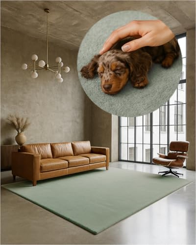 TEXMAXX Weicher Kurzflor Teppich Wohnzimmer mit rutschhemmender Rückseite | 160 x 230 cm - Modern für Flur, Esszimmer und als Schlafzimmer Teppich in Hellgrün - Waschbar bis 30 Grad