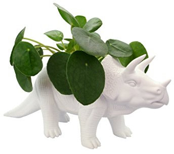 bitten Tricerapot Dino Blumentopf aus Porzellan - Triceratops Pflanzkübel Pflanztopf Dinosaurier Übertopf
