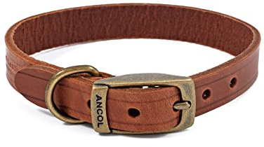 Ancol Latigo Flexible Stretchy Dog Collar Chestnut Leather Pet Training Accessory with Antique Gold Fixings - Soft and Resilient - Size 2 - 26-31 cm
