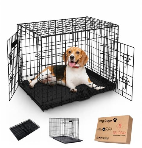 BELOFAY Heavy-Duty Folding Dog Crate | 36-Inch Metal Frame Dog Cage with Dual Access Doors, Chew-Resistant Removable Base Tray, Sliding Lock & Carry Handle – Ideal for Puppy Training & Travel