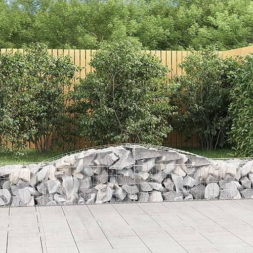 Youuihom Fioriere Da Parete Letto Per Orto Orto Rialzato Orto Terrazzo Fioriere Cesto Gabbione ad Arco 400x50x40/60 cm Ferro Zincato Adatto per Patio, giardini, balconi, esterni