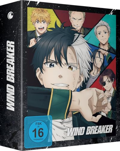 Wind Breaker - Staffel 1 - Vol.1 - [DVD] mit Sammelschuber