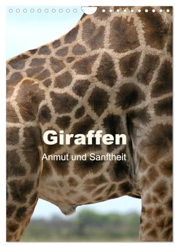 Giraffen - Anmut und Sanftheit (Wandkalender 2026 DIN A4 hoch), CALVENDO Monatskalender: Begegnungen mit Giraffen in Afrika (CALVENDO Tiere)