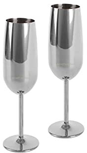 Echtwerk Juego de copas de 2 piezas para vino espumoso y champán, de acero inoxidable, edición plateada, 250 ml, 22,5 x 6,3 cm