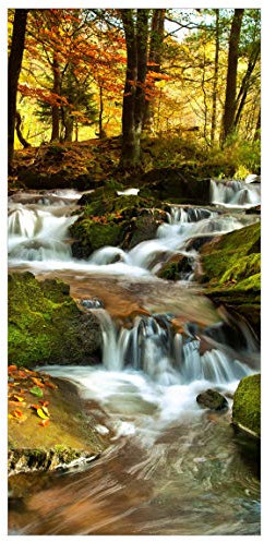Bilderwelten Raumteiler Wasserfall herbstlicher Wald 250x120cm inkl. transparenter Halterung