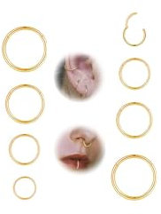 Habselikob Nasenpiercing Ring 16G/18G Knorpelohrring Septum Clicker Ring Nasenring Gold Sliber Roségold Helix Conch Tragus Daith Lip Piercing Ohr 6mm/8mm/10mm/12mm