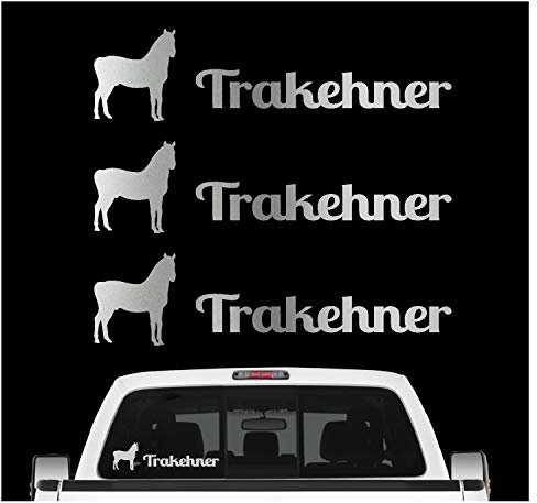 siviwonder Trakehner Sportpferd Aufkleber 3er Set Pferdeaufkleber Pferd reiten Auto Folie Farbe Silber, Größe 20cm