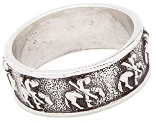SILVERFOX Indianerschmuck Ring End of the Trail Westernschmuck Indianerring Ende des Weges Navajo Style (19mm)