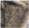 YANGUANG 160x50cm Verdickter Faux Wolf Pelz Stoff Um Einen Halben Meter, Weiche Braune Pelzige Stoff Shag Polsterung Für DIY Kleidung Dekoration Leichte Lange Haare Shaggy Decke(Color:BRAUN)