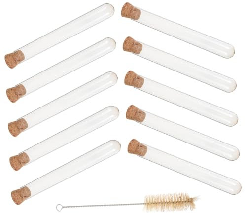 10 Pcs Plant Vase Cylinder Vases Shots Clear Vase Tubes with Corks Glass Tubes with Lids Test Tube Mini Vase Vials with Caps Clear Vase Glass Vials With Cover Glass Bottle