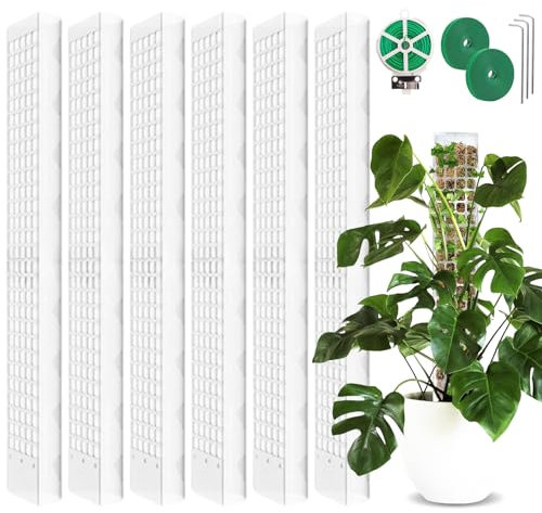 Lot de 6 tuteurs en mousse : 61 cm - Tuteur en plastique avec 3 piquets, 2 bandes Velcro, 30 m de serrage - Tuteur Monstera pour plantes grimpantes