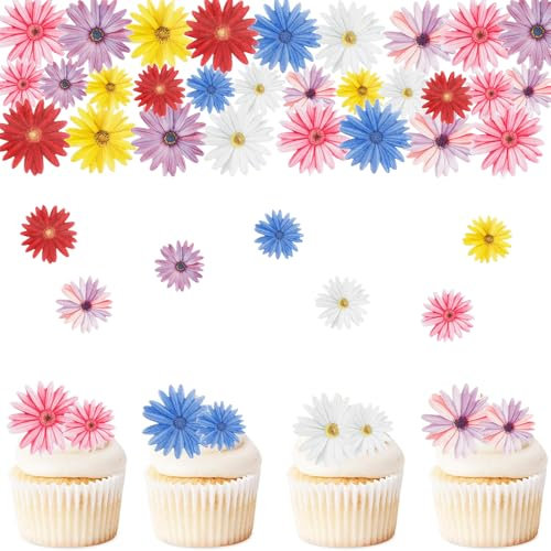 ENLACE Gänseblümchen Tortendeko Essbare Blumen für Torte,65 Stück Blumen Deko Torte Essbar,Bunt 2D Essbare Blüten Tortendeko,Kuchendeko Blüten Gänseblümchen Cupcake Deko für Geburtstag Hochzeit