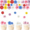 ENLACE Gänseblümchen Tortendeko Essbare Blumen für Torte,65 Stück Blumen Deko Torte Essbar,Bunt 2D Essbare Blüten Tortendeko,Kuchendeko Blüten Gänseblümchen Cupcake Deko für Geburtstag Hochzeit