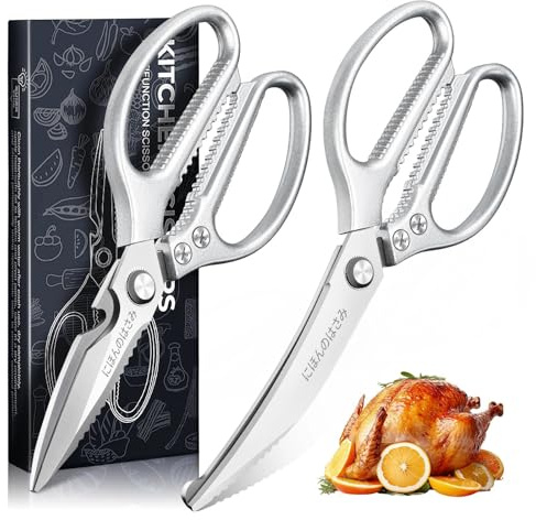 DRAGON RIOT Küchenschere 2-teilig, Silberne Geflügelschere | Scharfe Fischschere aus Edelstahl, Ergonomischer Griff, Spülmaschinenfest für Küche & Haushalt