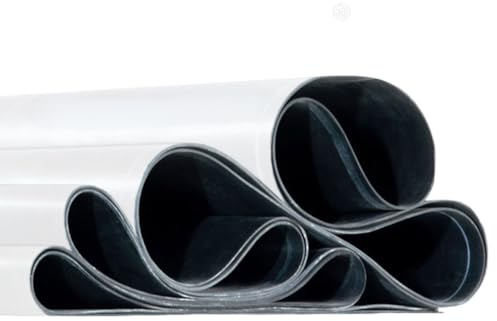 EPDM Dachfolie 1,5mm weiß - Über 50 Jahre Lebensdauer - Wasserdicht, UV beständig mit allen deutschen Zulassungen - Weiße EPDM Dachabdichtung für Carport, Gartenhaus und mehr (3,05m x 8,00m)
