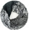 Glamexx24 Damen Schal Leo Muster Langschal Loop Schlauchschal Tuch XXL Loopschal Mädchen Animal Print Tuch
