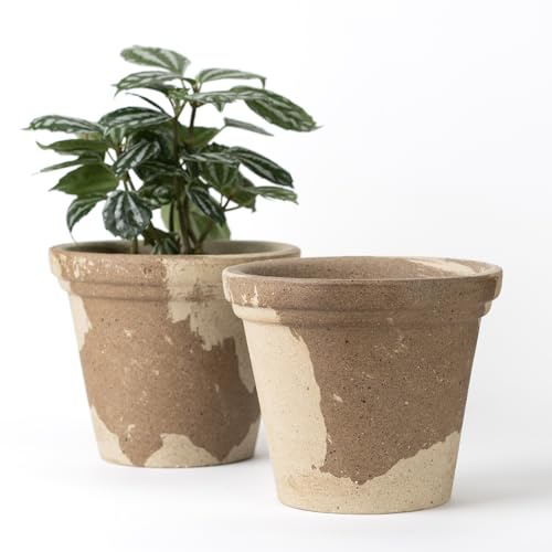 Nipots 2 Pack Terracotta Clay Plant Pots with Drainage, Breathable Water-Absorbing Planters for Healthy Roots, 6 Inch Deep Flower Pots for Gardening, Indoor and Outdoor, Latte