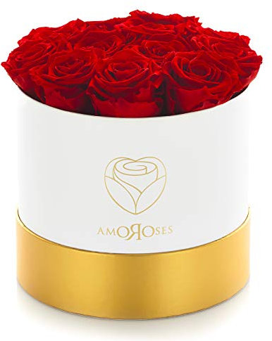 Amoroses 12 echte stabilisierte Rosen halten jahrelang - Originelle Geschenkidee für sie Eleganter Blumenstrauß zum Jahrestag und andere besondere Anlässe (Weiße Schachtel mit roten Rosen)