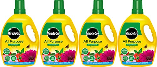 Miracle-Gro All Purpose Concentrated Plant Food (2.5L) x 4
