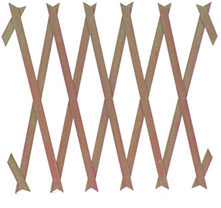 VFM - Extension du Treillis en Bois 150 cm x 30cm - Racines et pousses