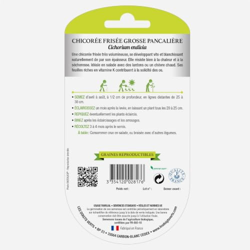 Graines Chicorée Frisée Grosse Pancalière BIO Les Doigts Verts