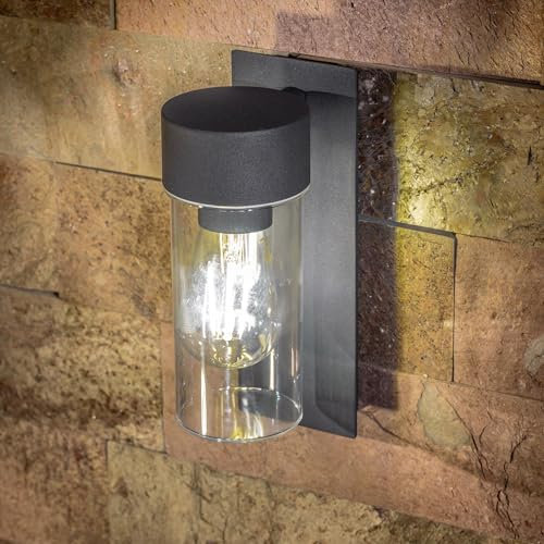 CGC Lighting Applique Murale Extérieure Éclairage Gris Foncé E27 Lanterne LED Diffuseur Transparent IP54