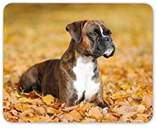 Beautiful Boxer Dog Mouse Mat Pad - Puppy Autumn Pet Animal Computer #16251