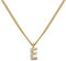 GD GOOD.designs Kette Buchstabe E Gold für Damen I 18K vergoldete Halskette mit Zirkonia Initialien I Goldene 316L Edelstahl Buchstabenkette (Buchstabe E) - Valentinstag-Geschenk für Sie und Ihn