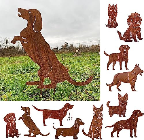 Gartenfigur Hund Dackel Macht Männchen 50x50cm Gartenstecker Edelrost Gartendeko Wetterfest Rost Metall Rostfigur Hunde Figur Tier von Steinfigurenwelt