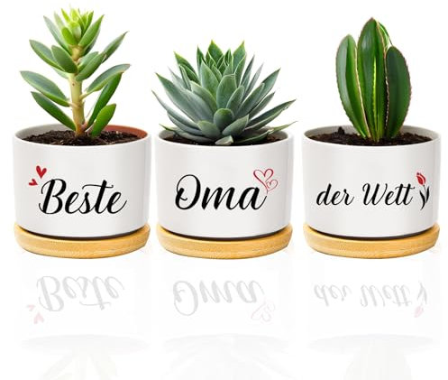 coTaSiEY Oma, Beste Oma Blumentopf Blumentöpfe Geschenke für Oma Muttertagsgeschenk Geburtstagsgeschen Mothers Day Gifts Ostergeschenk