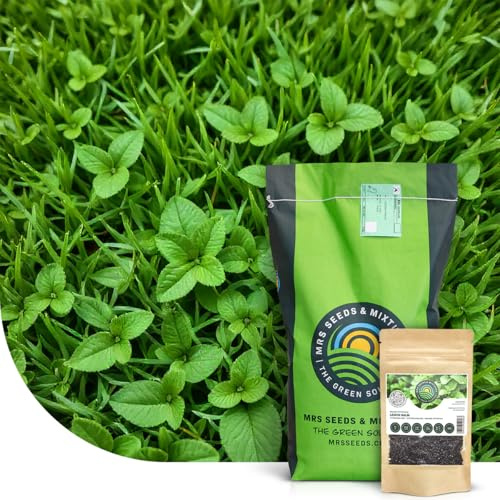 MRS Lemon Lawn : Pelouse Anti-Moustiques - 5 kg pour 200 m² - Semences de gazon avec mélisse - Créer ou regarnir - Résistantes aux maladies - Repousse aussi les puces & tiques